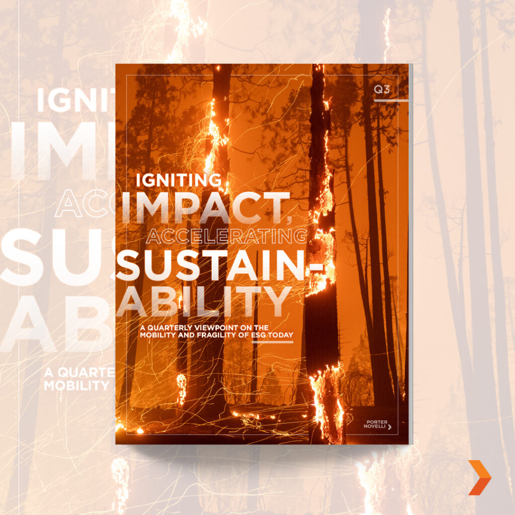 Introducing The Igniting Impact, Accelerating Sustainability Q3 Edition