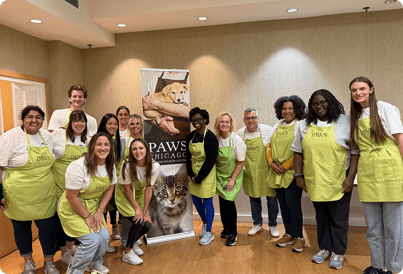 Porter Novelli Chicago Employees - Paws Chicago